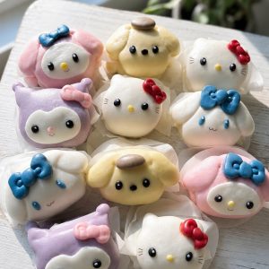 🩷 SANRIO MINI KUAHPAU  (10 PCS)